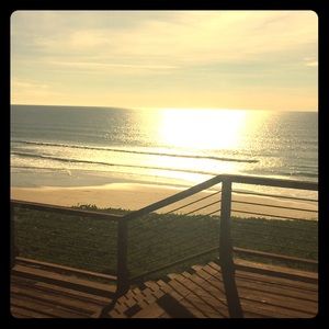 Meet the posher. Sofia